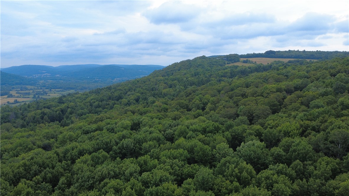 Van Cleef Road Roseboom, NY 13450 - Photo 22 of 24