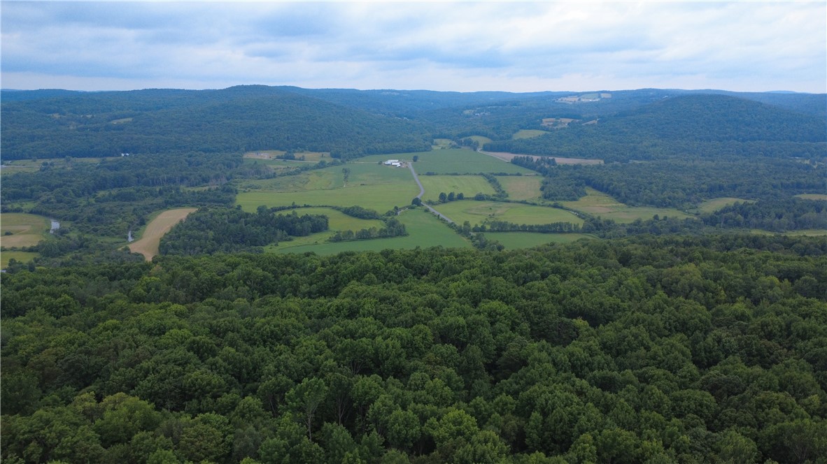 Van Cleef Road Roseboom, NY 13450 - Photo 23 of 24