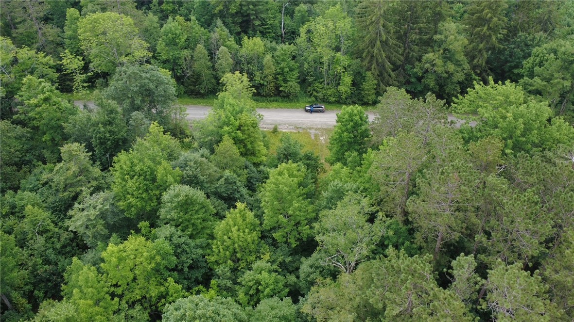 Van Cleef Road Roseboom, NY 13450 - Photo 5 of 24