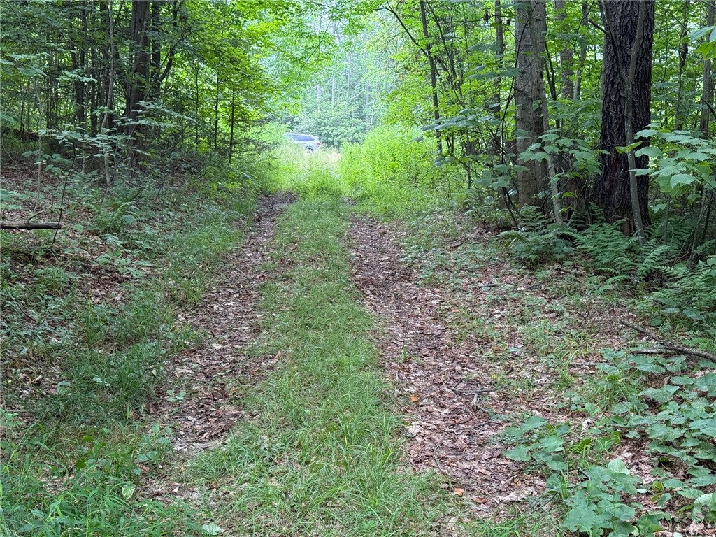 Van Cleef Road Roseboom, NY 13450 - Photo 7 of 24