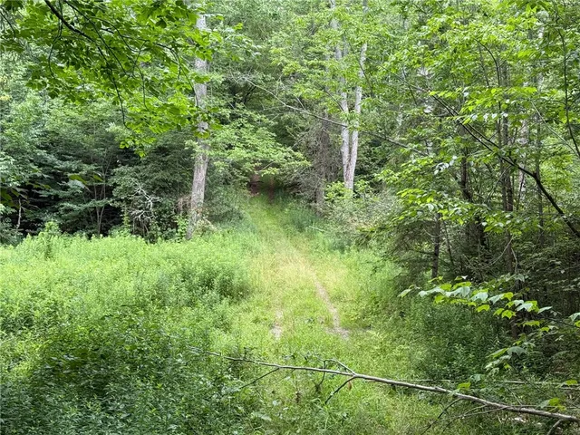 $179,000 | Van Cleef Road, Roseboom, NY 13450