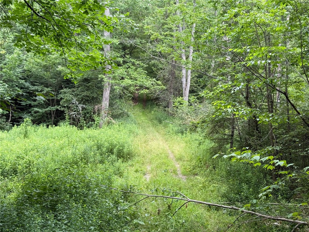 Van Cleef Road Roseboom, NY 13450 - Photo 8 of 24