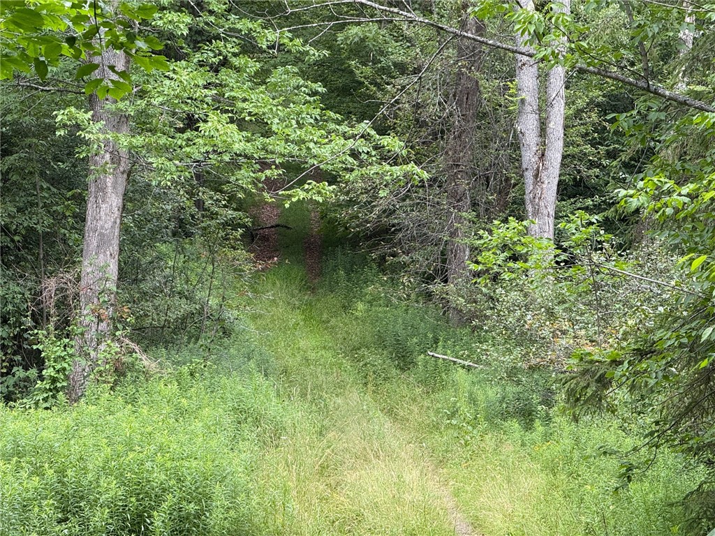 Van Cleef Road Roseboom, NY 13450 - Photo 9 of 24