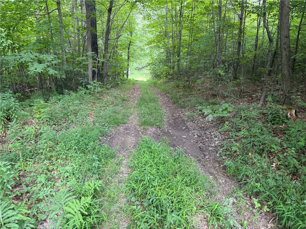 Van Cleef Road Roseboom, NY 13450 - Photo 10 of 24