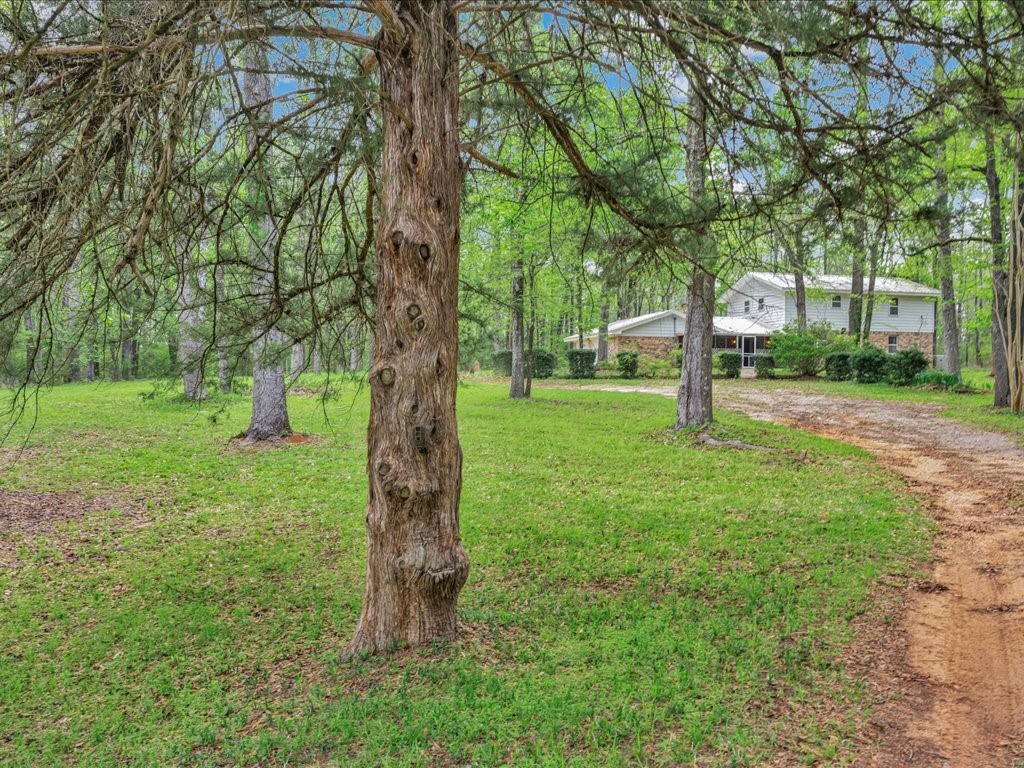 235 County Barn Road Lufkin, TX 75904 - Photo 38 of 46