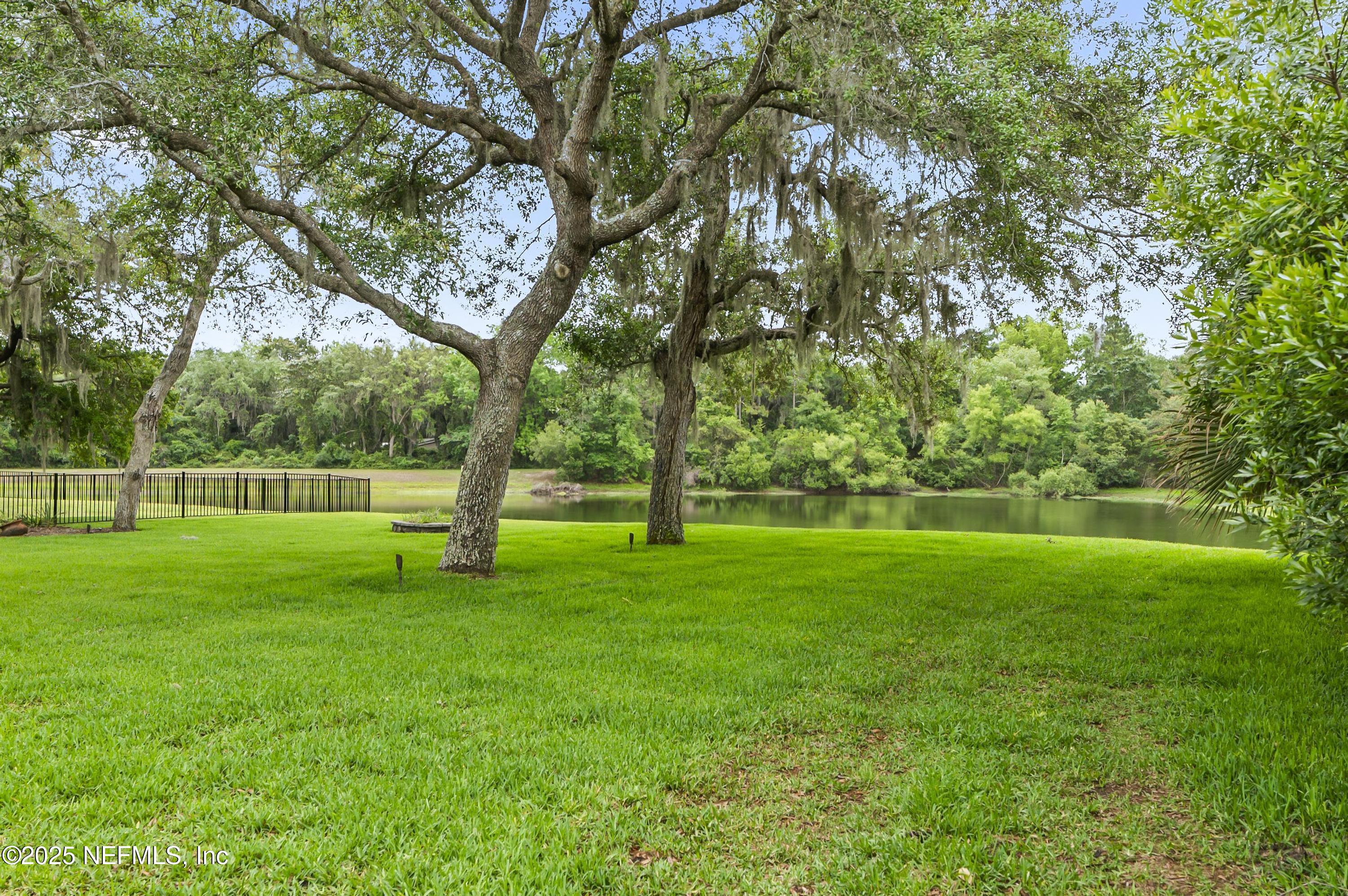 649 Treehouse Circle St. Augustine, FL 32095 - Photo 99 of 207 Parklike yard