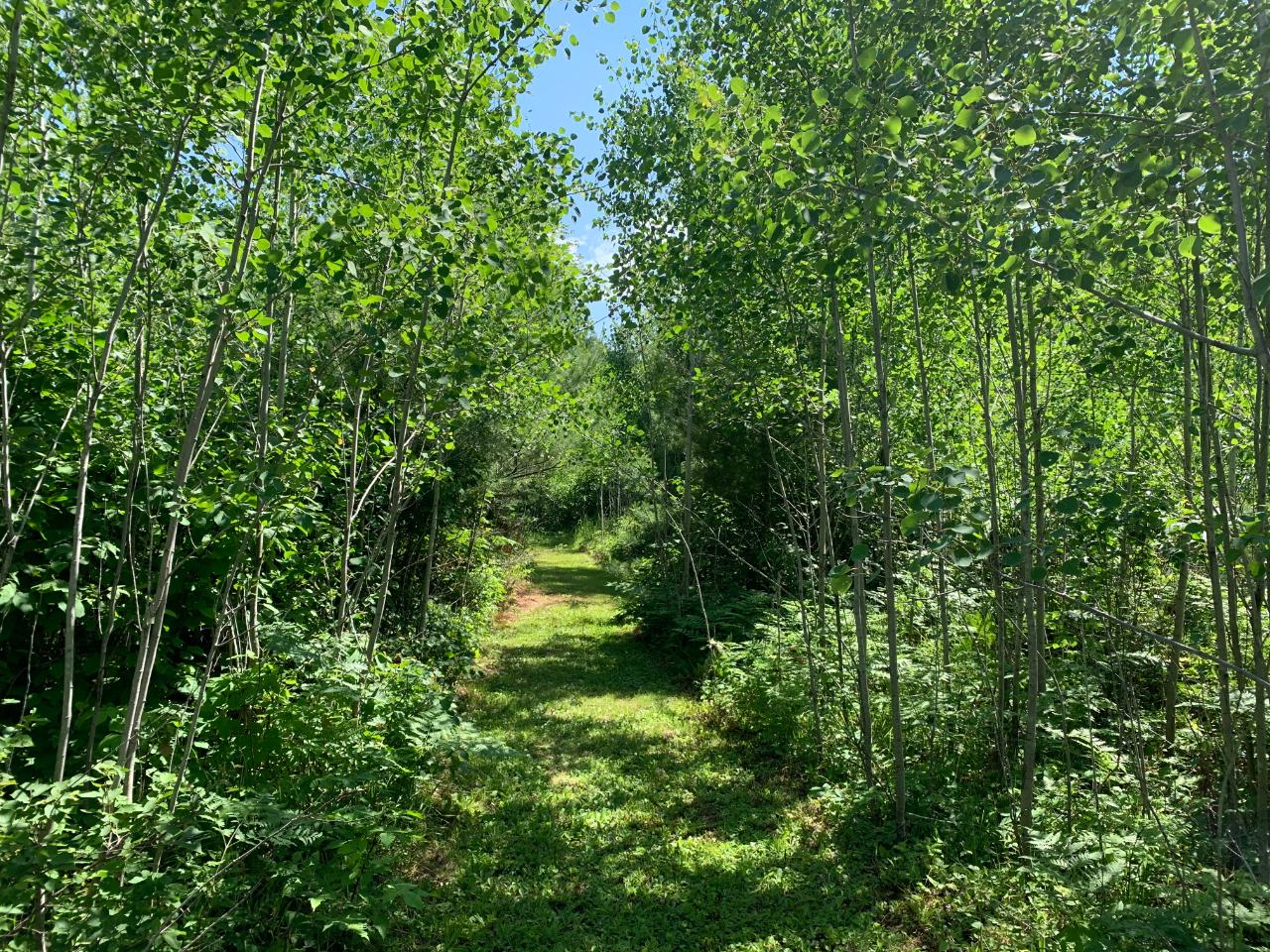 On Burnt Bridge Road, Unit LOT 1 St. Germain, WI 54558 - Photo 15 of 15 Gallery Image 15