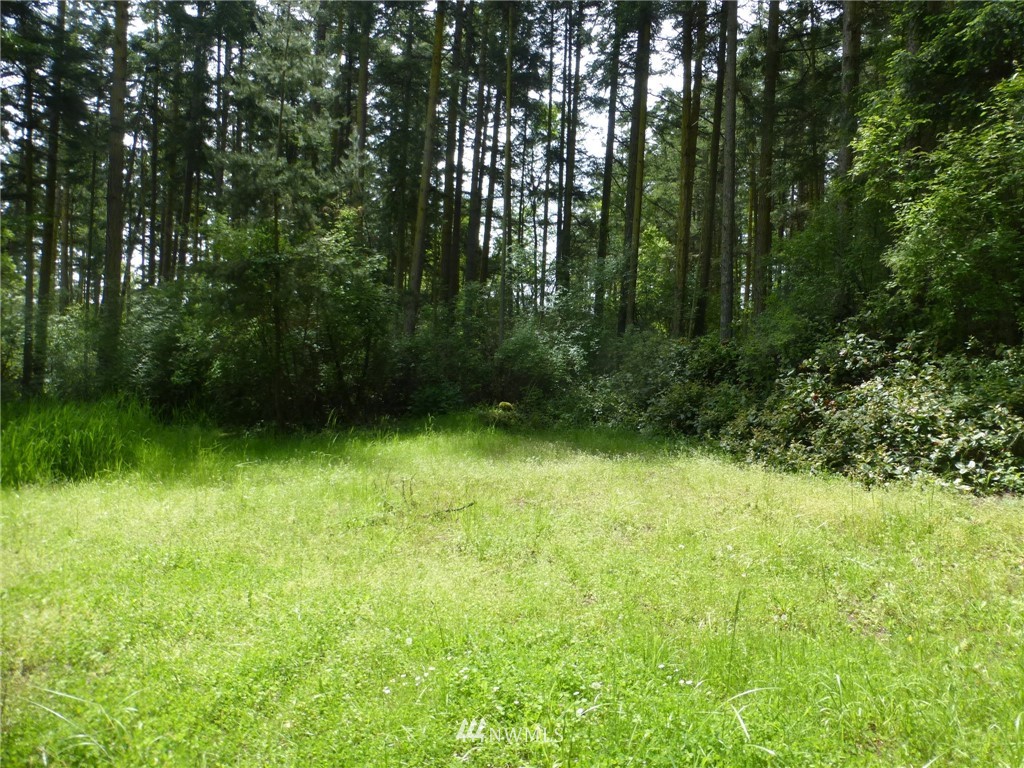 1539 Bakerview Road Lopez Island, WA 98261 - Photo 2 of 7 Gallery Image 2