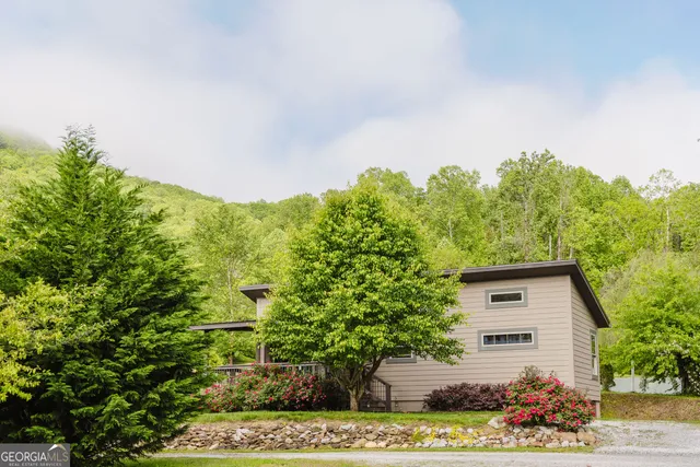 a view of a garden with plants and large trees