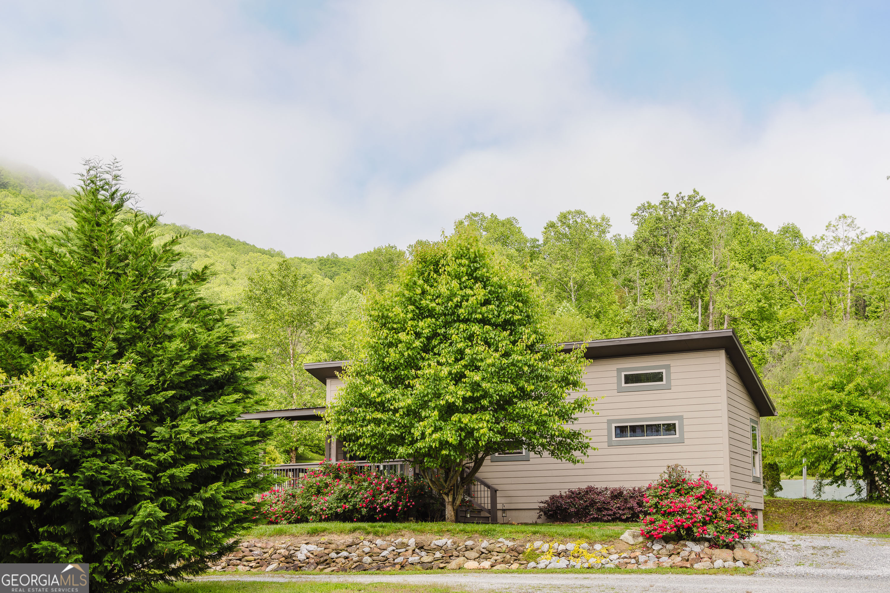 a view of a garden with plants and large trees