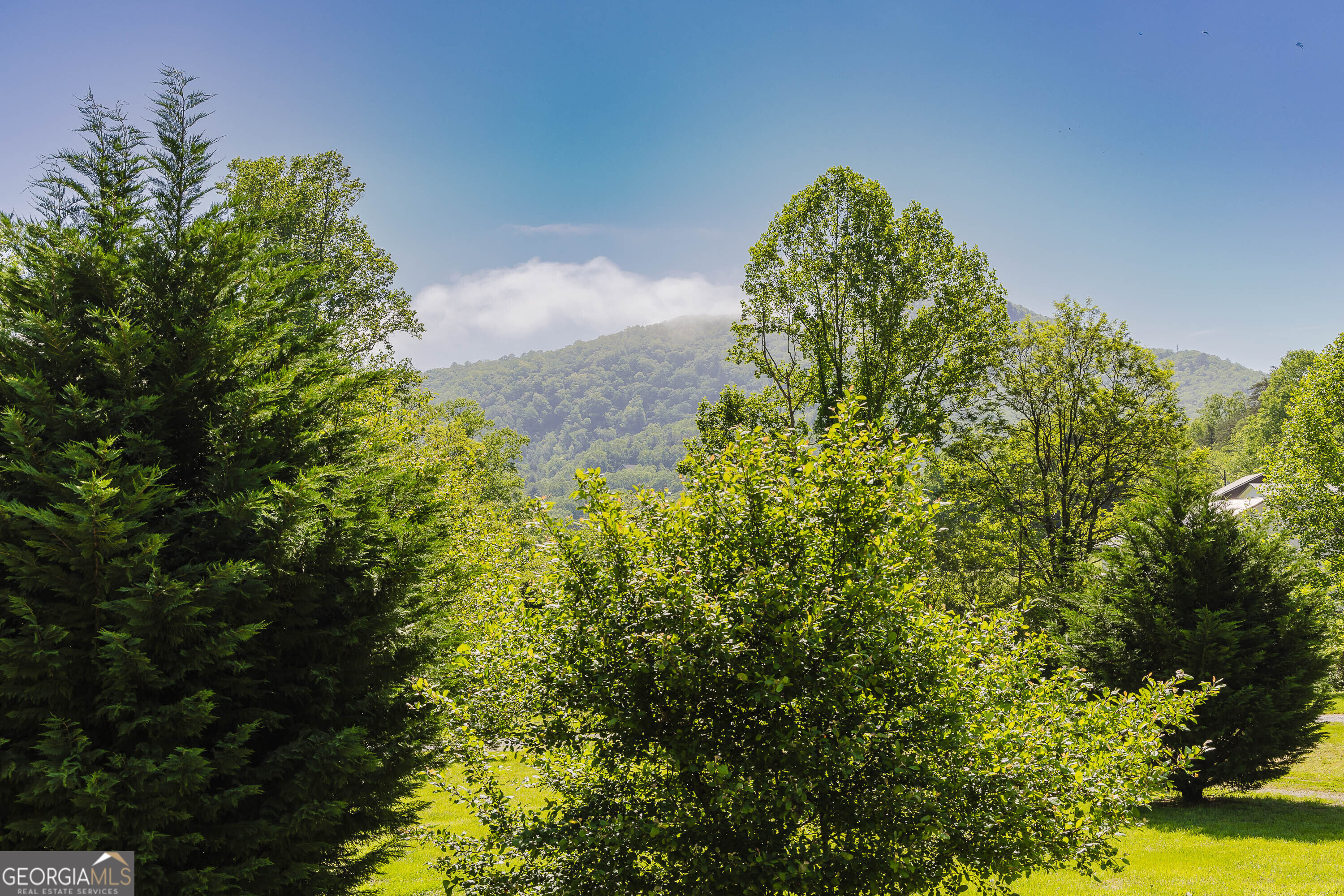 36 Maple Springs Lane Clayton, GA 30525 - Photo 25 of 26 a view of a garden with a house