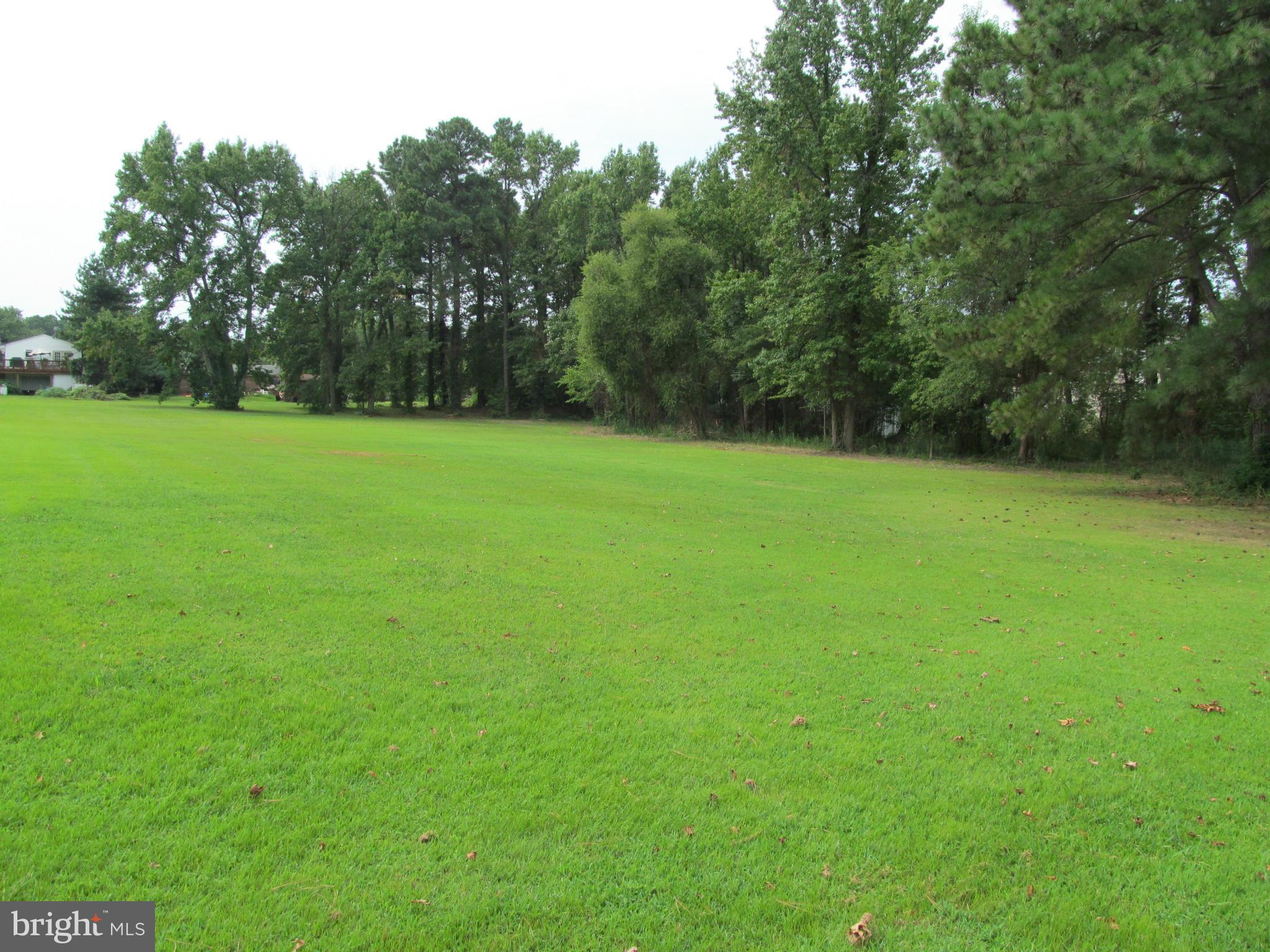 Hopkins Road Chester, MD 21619 - Photo 1 of 1 a view of field with trees in the background