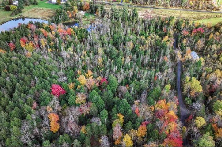 1021 Woods Road Warren, VT 05674 - Photo 14 of 24