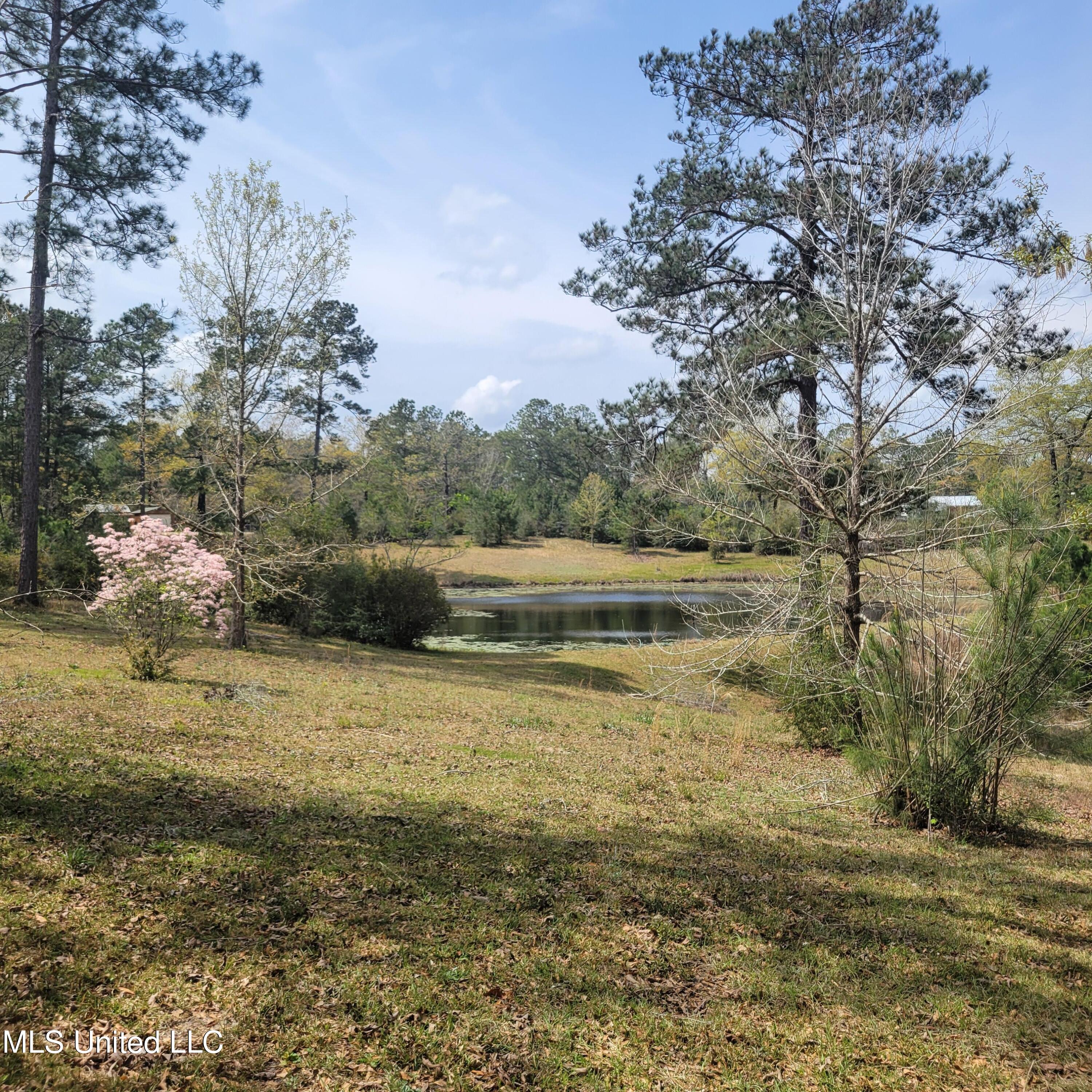 202 Walker Cemetery Road Perkinston, MS 39573 - Photo 25 of 25 24