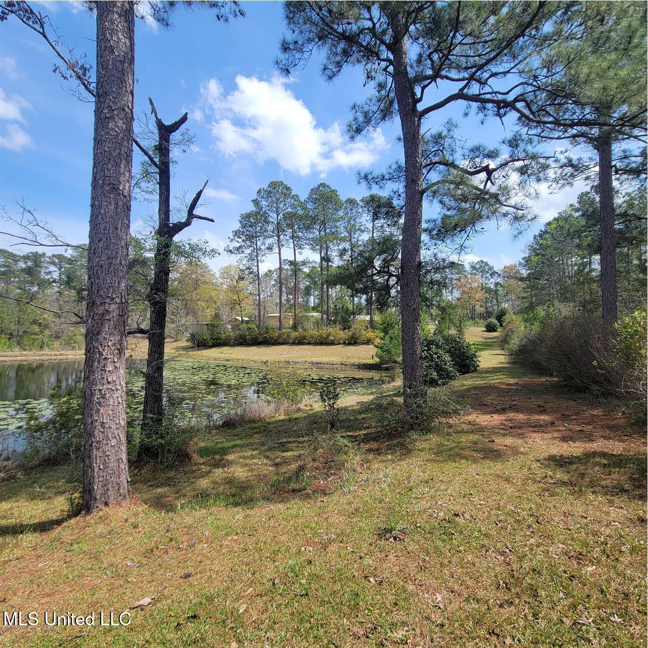 202 Walker Cemetery Road Perkinston, MS 39573 - Photo 5 of 25 04