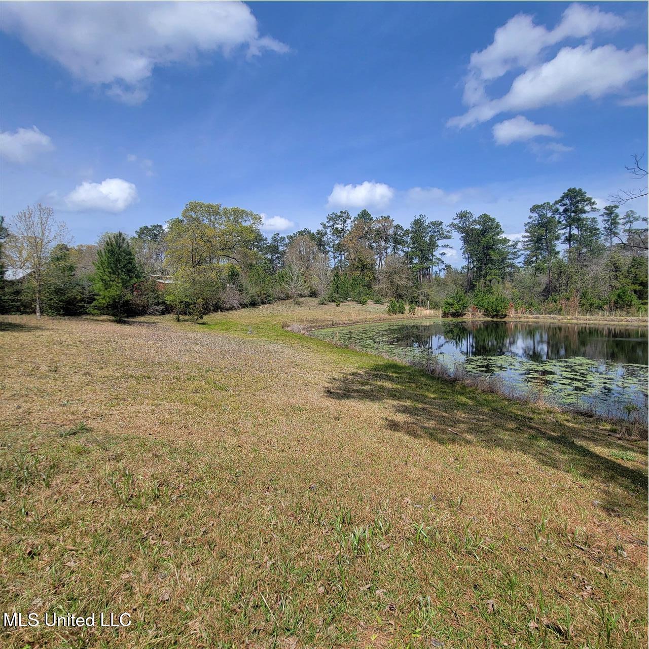202 Walker Cemetery Road Perkinston, MS 39573 - Photo 6 of 25 05