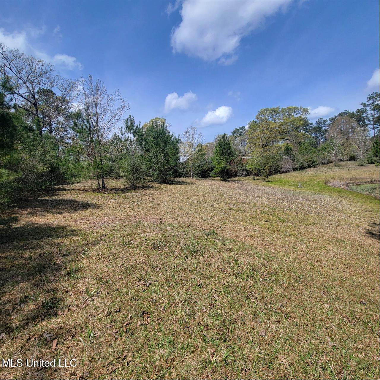202 Walker Cemetery Road Perkinston, MS 39573 - Photo 7 of 25 06