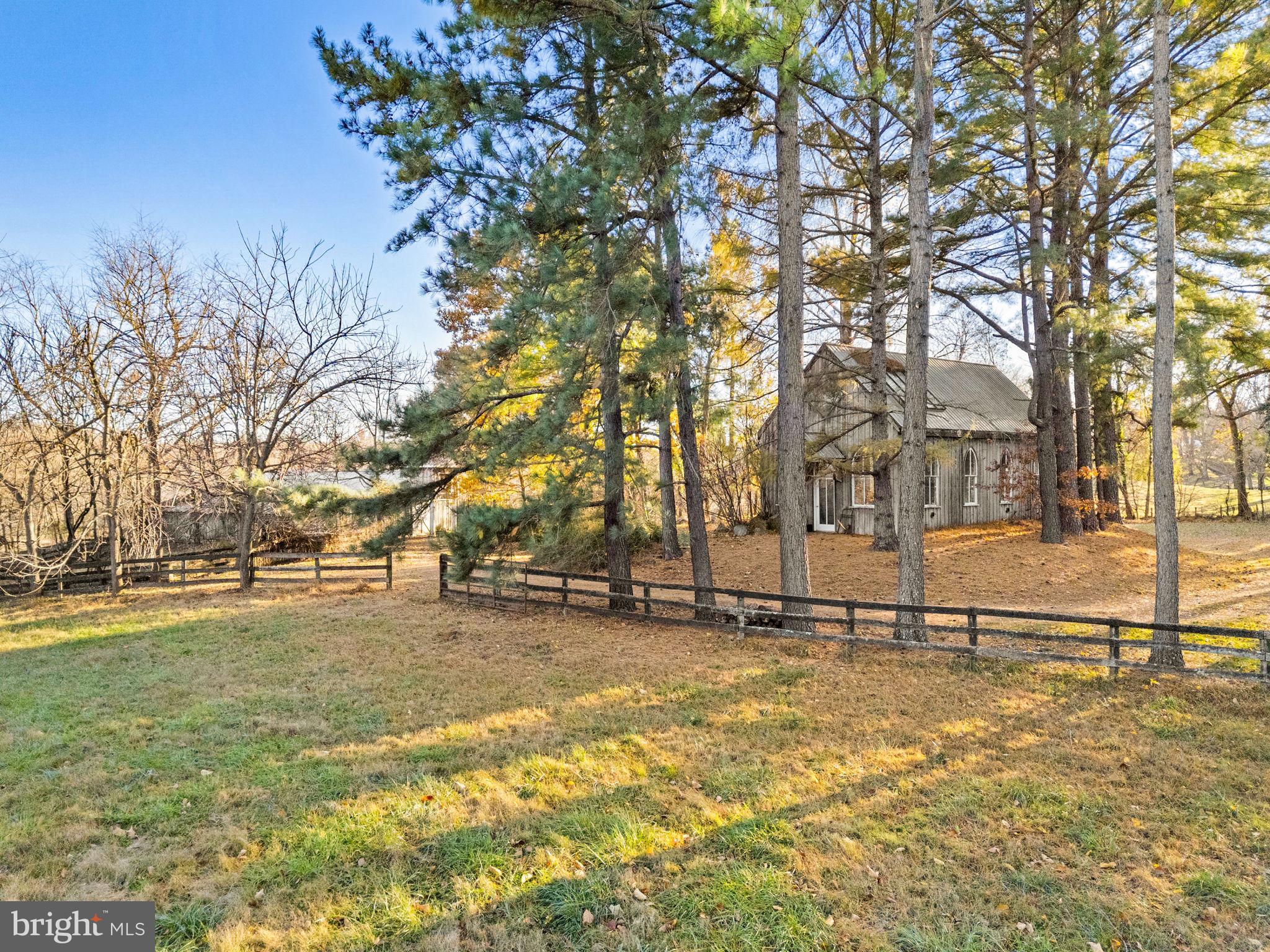 3393 Lost Corner Road Delaplane, VA 20144 - Photo 6 of 6 a view of a yard with a tree