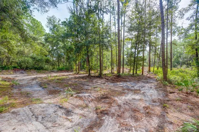 a view of outdoor space with trees