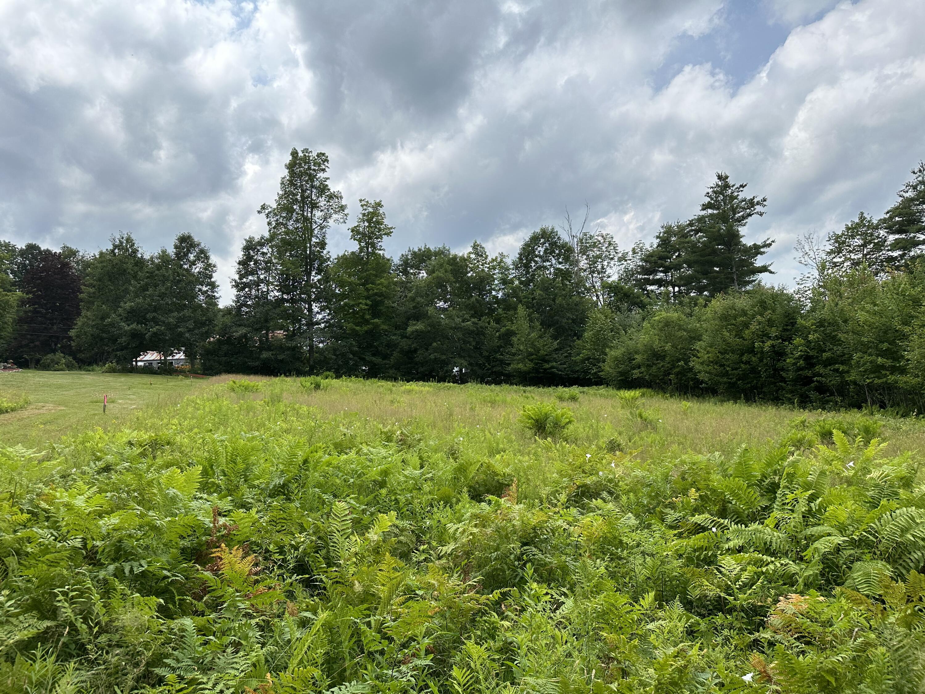 Lot 6-6 Hio Ridge Road Bridgton, ME 04009 - Photo 3 of 8 Photo 5