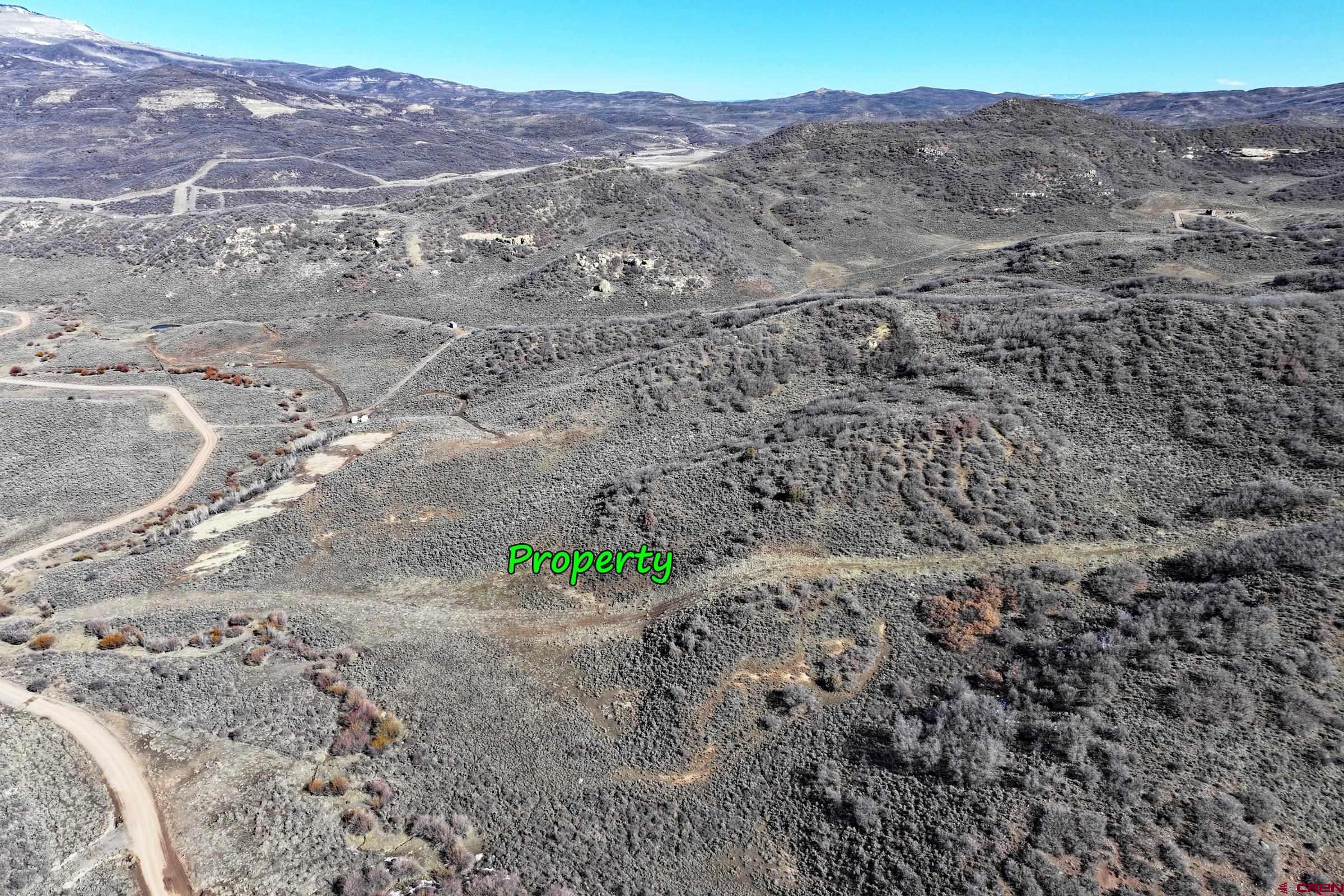 Tbd Harrison Gulch Road Collbran, CO 81624 - Photo 2 of 11 a view of a yard with a mountain in the background