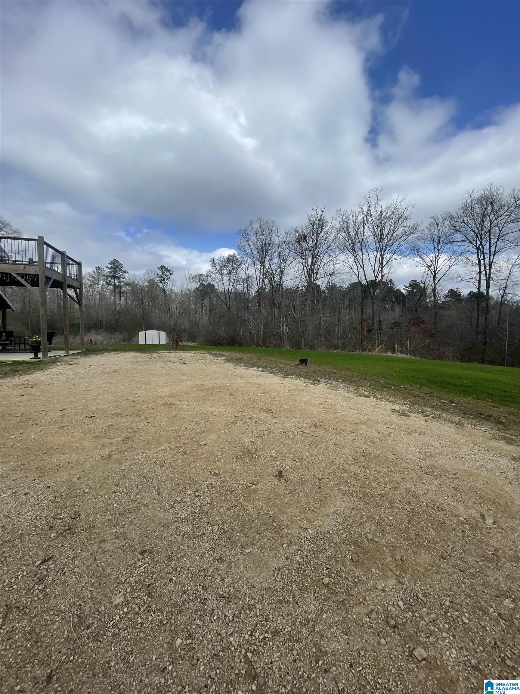245 Old Eason Road Pell City, AL 35128 - Photo 2 of 22