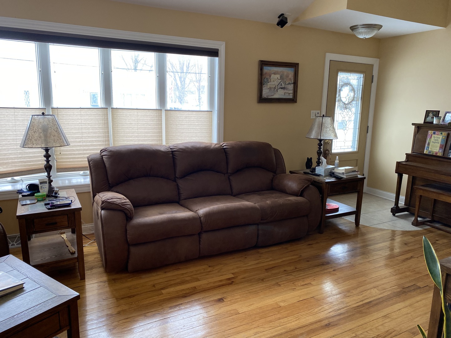 10955 Princess Avenue Chicago Ridge, IL 60415 - Photo 2 of 14
