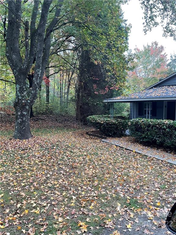 8582 Jc Road Vale, NC 28168 - Photo 3 of 15 a view of a backyard with plants and large trees