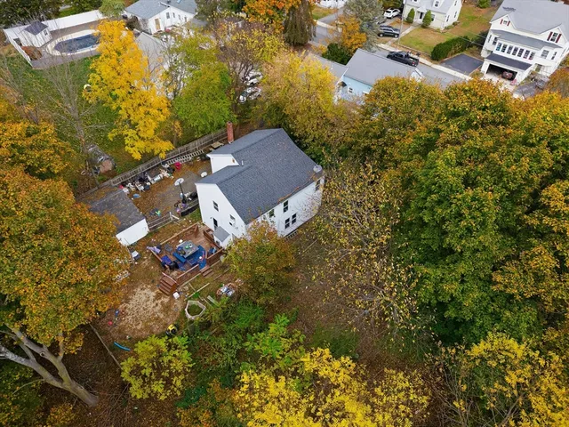 a view of a yard with plants and large trees