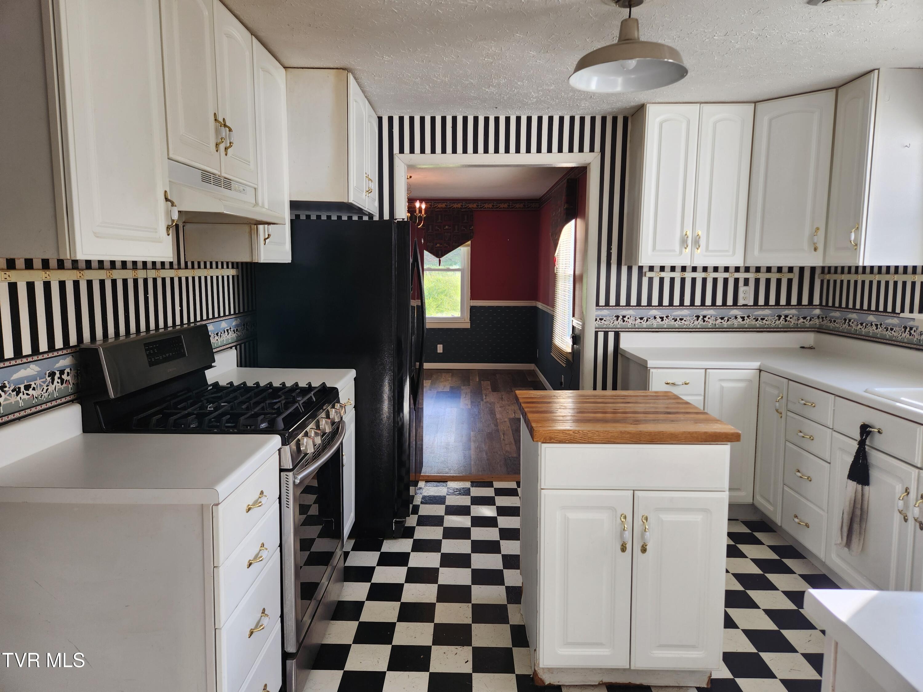 12075 Goose Creek Road Bristol, VA 24202 - Photo 17 of 71 20250523_181952