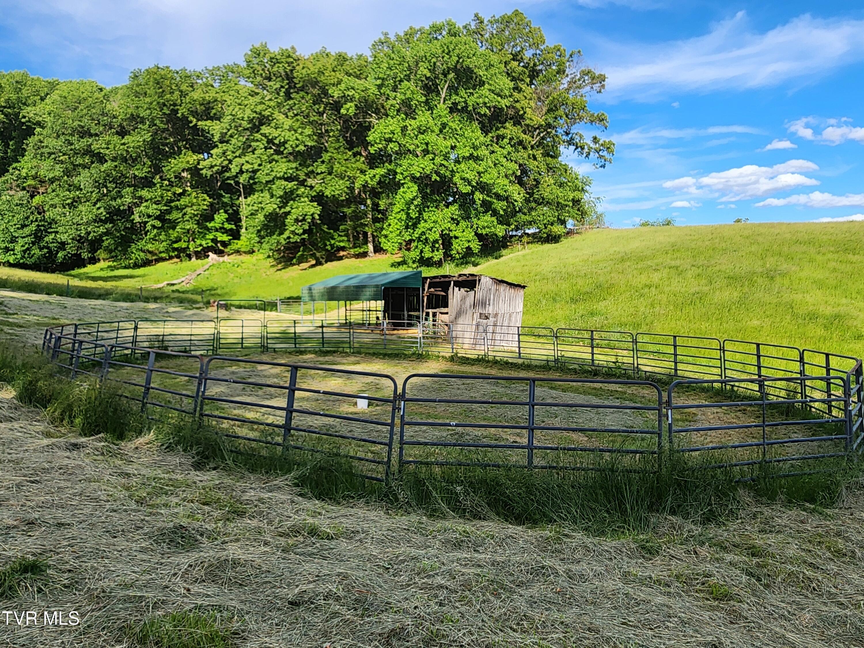 12075 Goose Creek Road Bristol, VA 24202 - Photo 57 of 71 20250523_183742