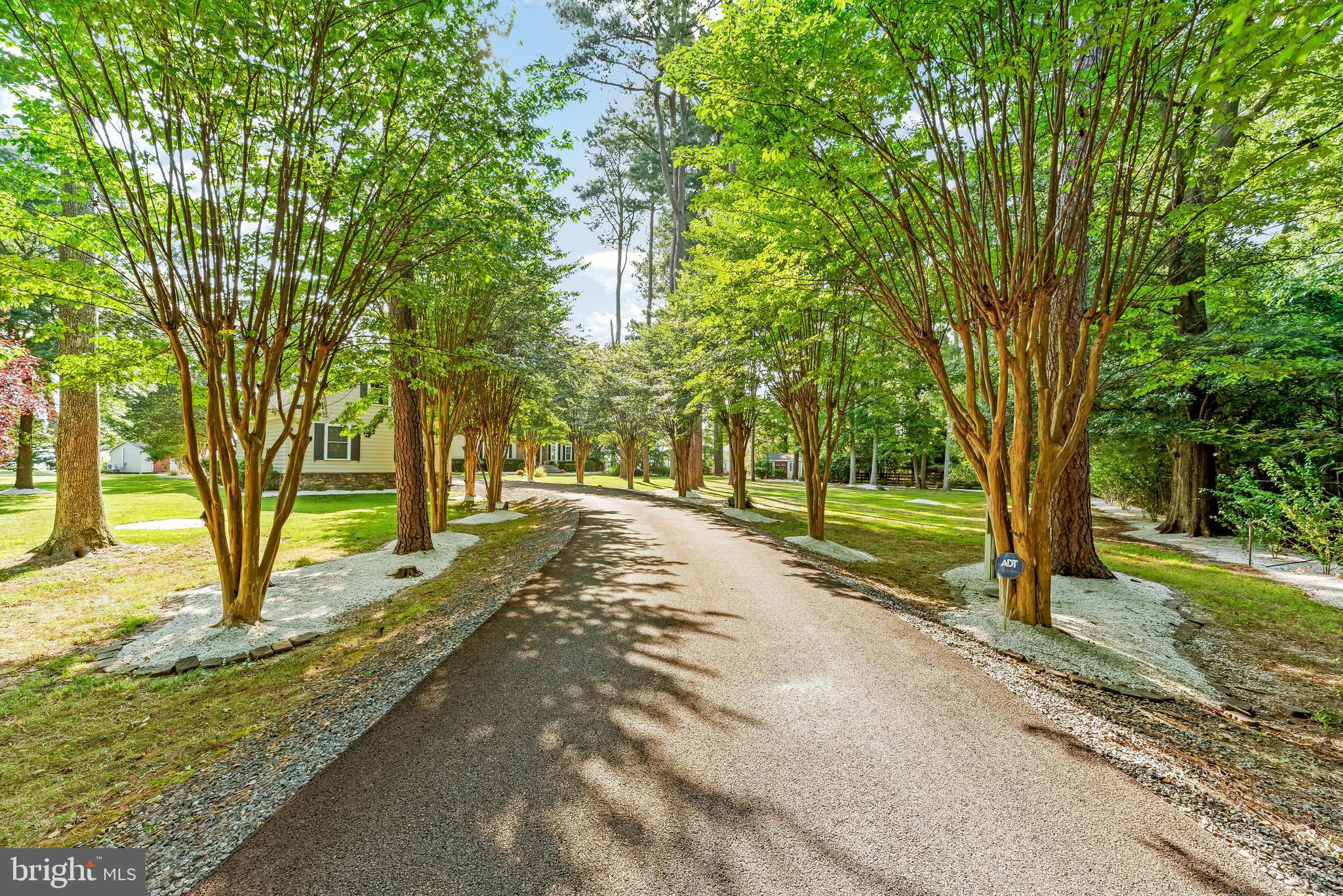 16105 Thomas Road Piney Point, MD 20674 - Photo 3 of 89 Private Driveway