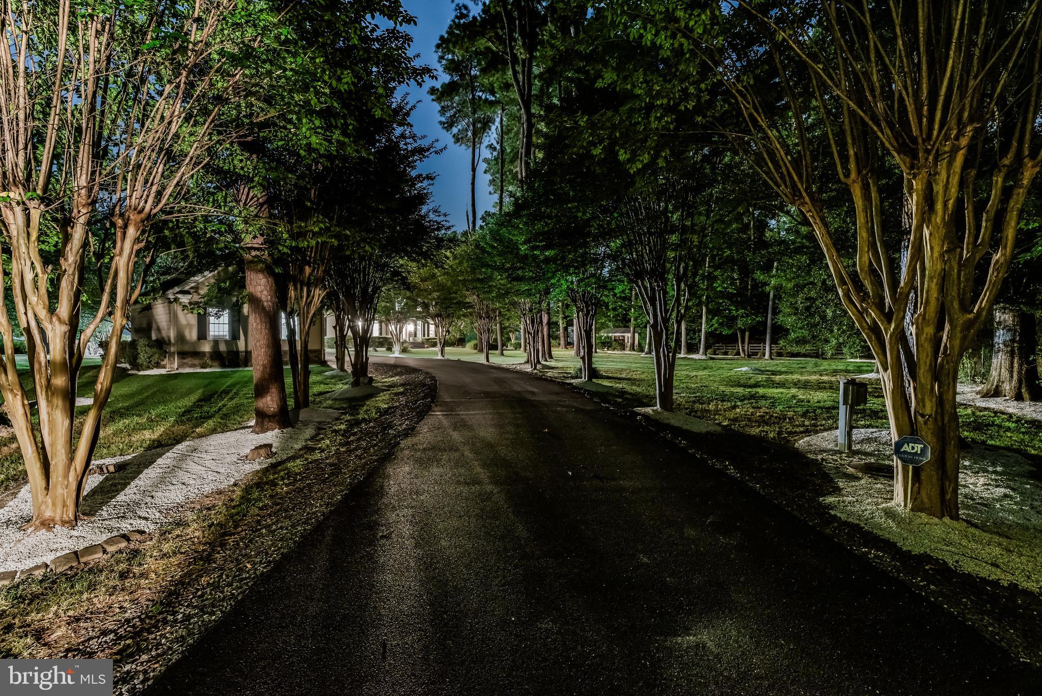 16105 Thomas Road Piney Point, MD 20674 - Photo 78 of 89 Driveway