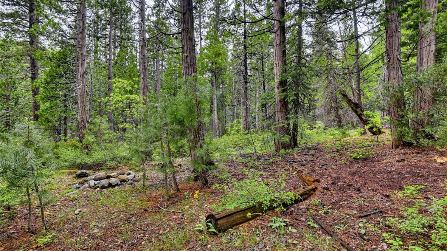 0 Texas Hill Road Emigrant Gap, CA 95715 - Photo 14 of 24