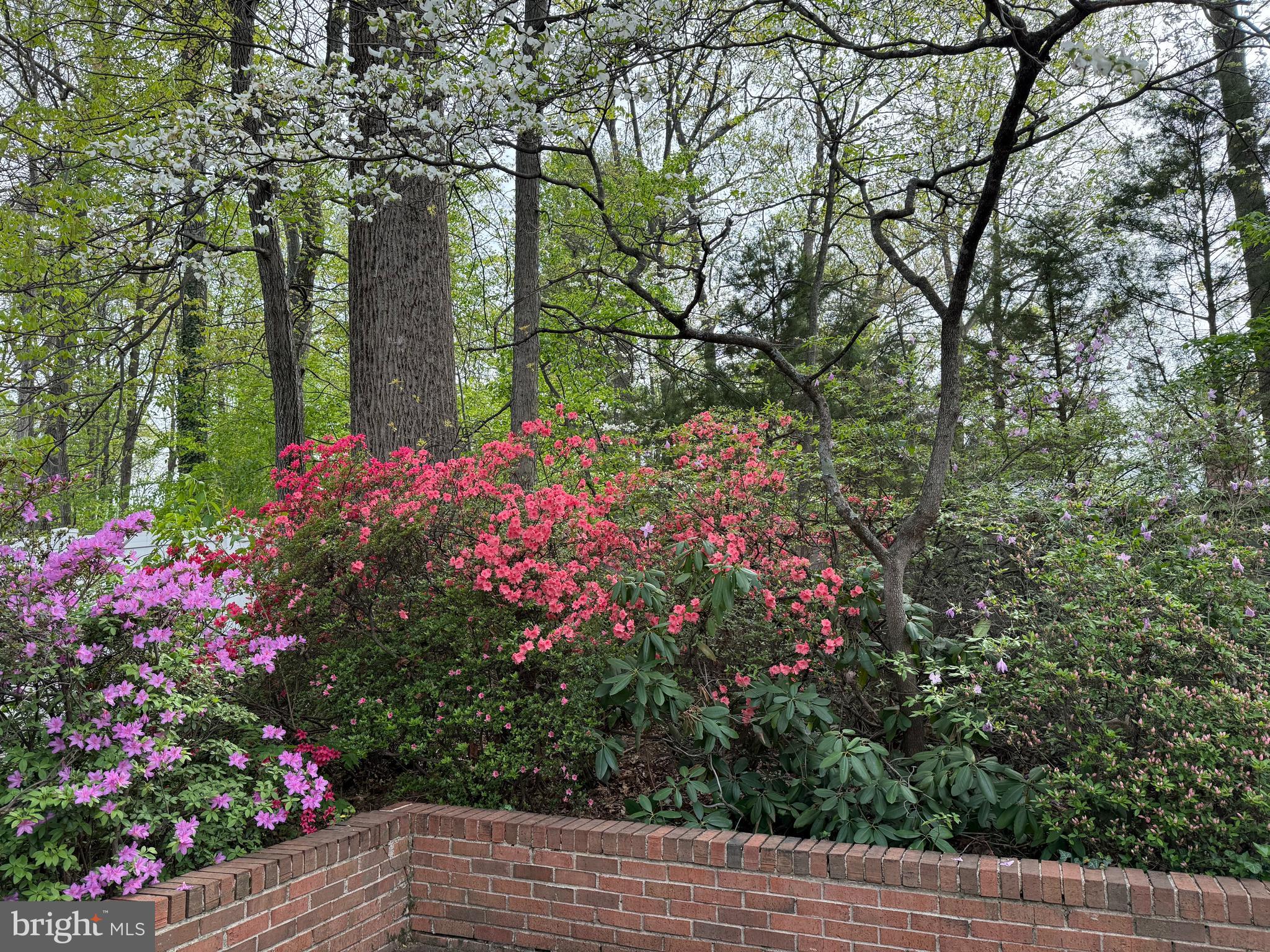 521 Creek Crossing Road Northeast Vienna, VA 22180 - Photo 25 of 63