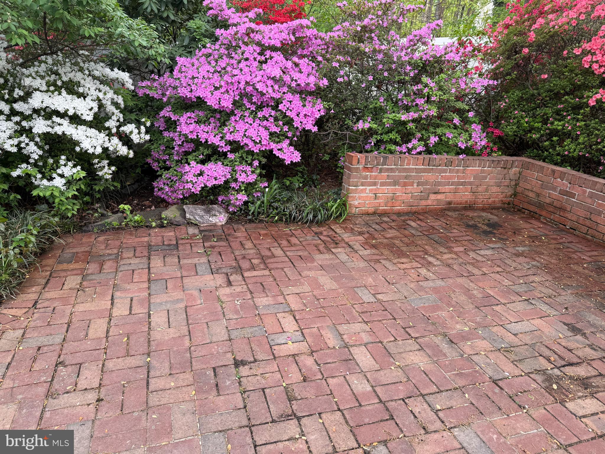 521 Creek Crossing Road Northeast Vienna, VA 22180 - Photo 27 of 63 a view of yard with flowers and trees