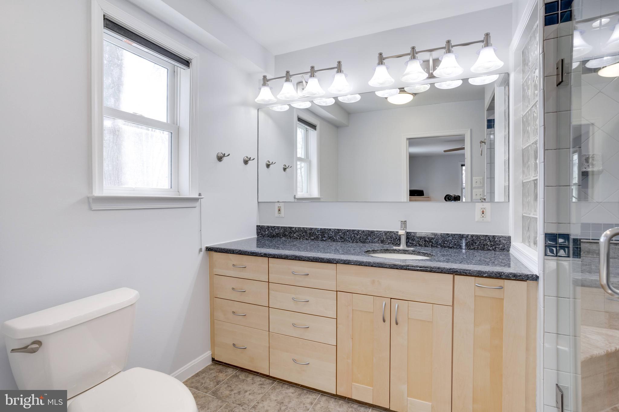 521 Creek Crossing Road Northeast Vienna, VA 22180 - Photo 33 of 63 a bathroom with a granite countertop sink a toilet and a mirror