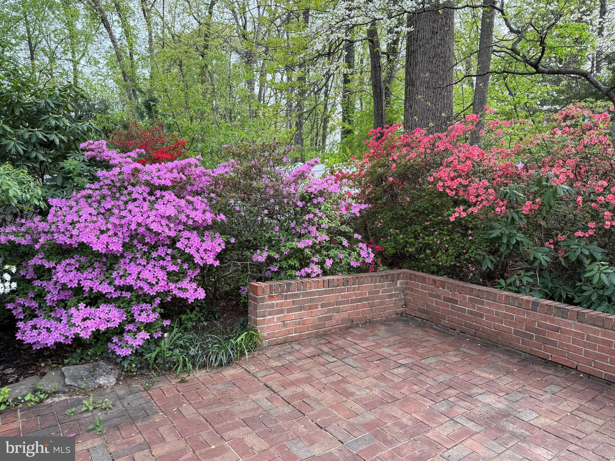 521 Creek Crossing Road Northeast Vienna, VA 22180 - Photo 5 of 63