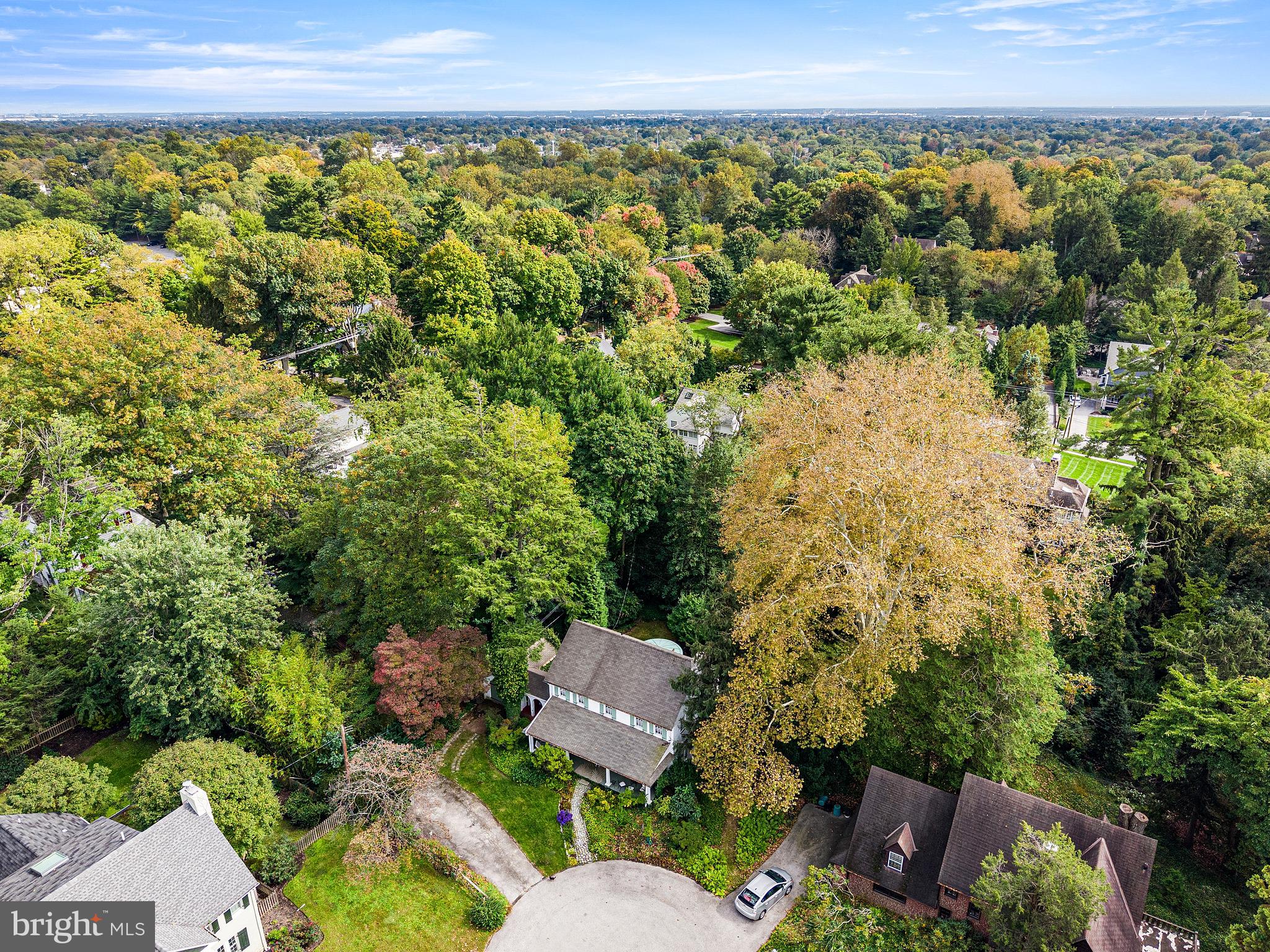 4 Swarthmore Place Swarthmore, PA 19081 - Photo 24 of 67 Drone aerial of Evergreen & Deciduous Tree variety