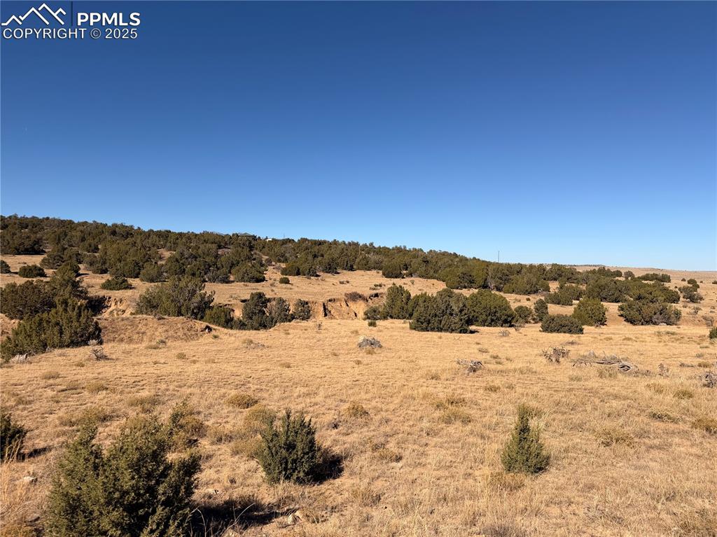 537 Rio Cucharas Walsenburg, CO 81089 - Photo 2 of 12 a view of a dry yard with mountains in the background