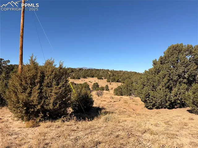 a view of a snow in the middle of a yard
