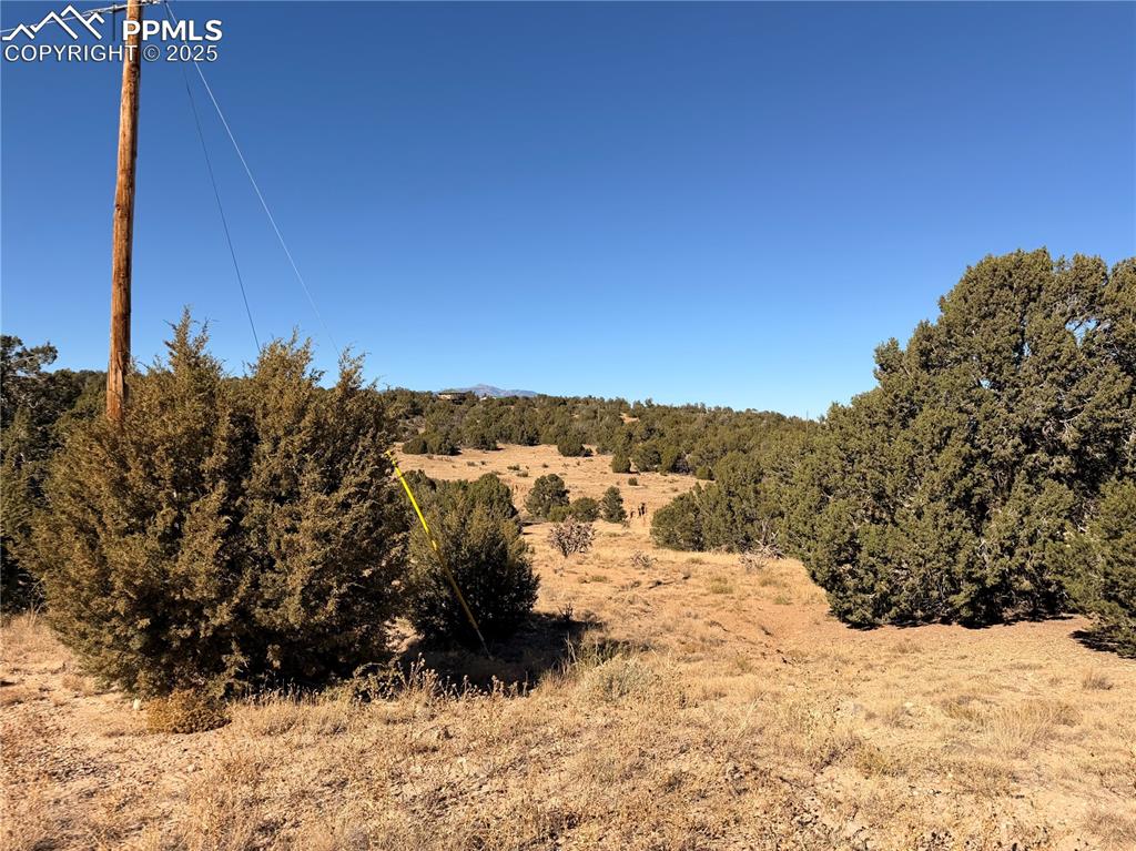 537 Rio Cucharas Walsenburg, CO 81089 - Photo 6 of 12 a view of a snow in the middle of a yard