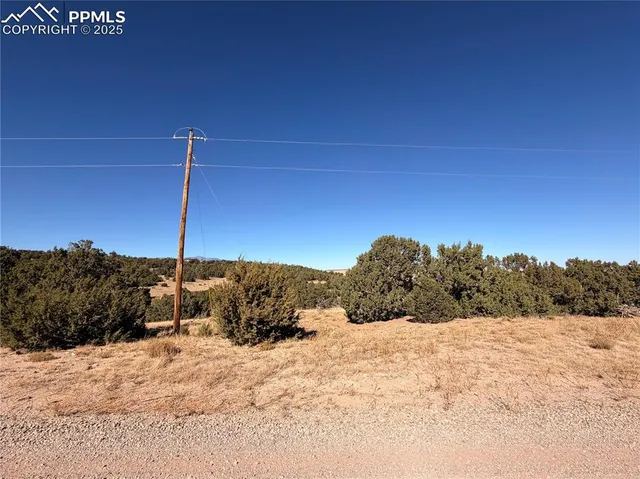 a view of a dry yard