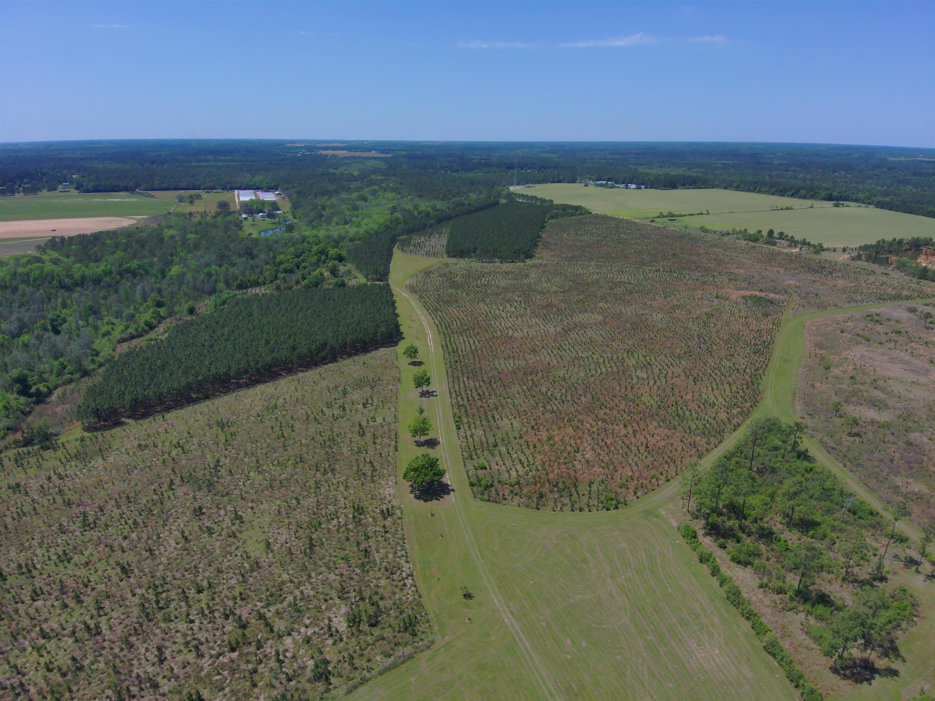87 County Road 87 Elberta, AL 36530 - Photo 4 of 66