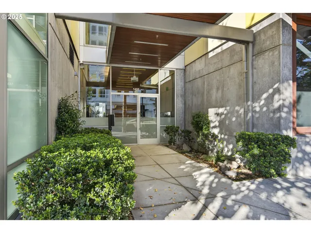 a backyard of a house with garden and plants