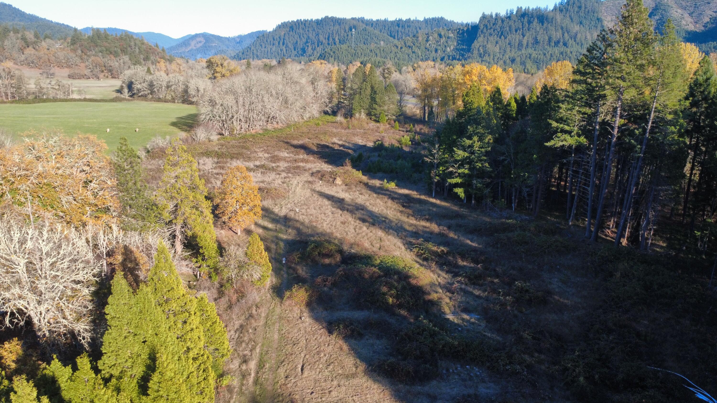 188 Pisqually Lane Azalea, OR 97410 - Photo 5 of 19 dji_fly_20251115_145340_61_1763247227139