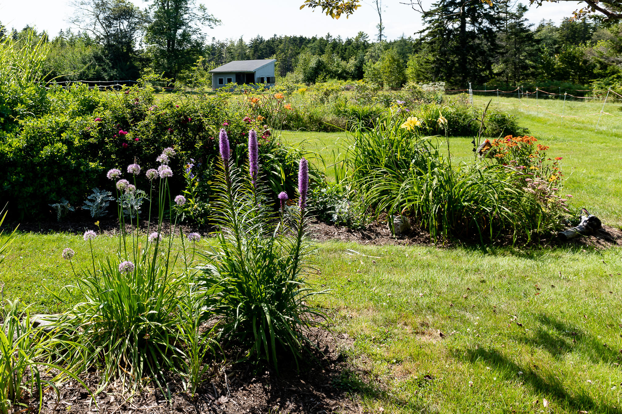 196 Ash Point Road Harpswell, ME 04079 - Photo 24 of 37 DSC_0979