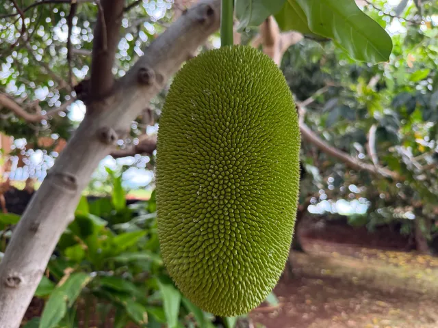 a view of lake with outdoor space