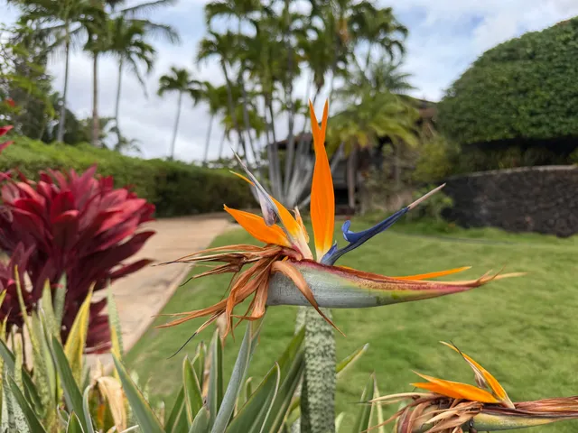 an aerial view of a houses with yard