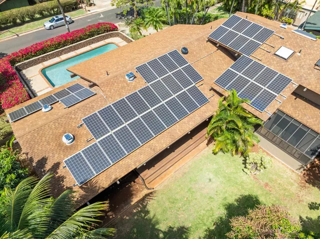 a small garden covered with tall trees